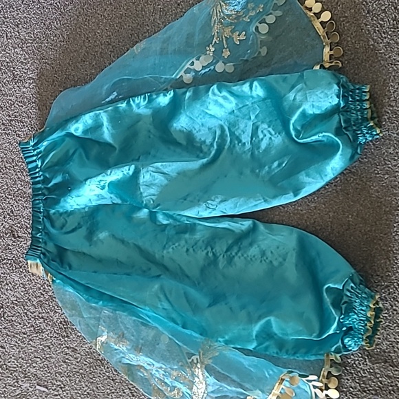 NWT Princess Dress-up Top/Used Pants - Picture 9 of 13